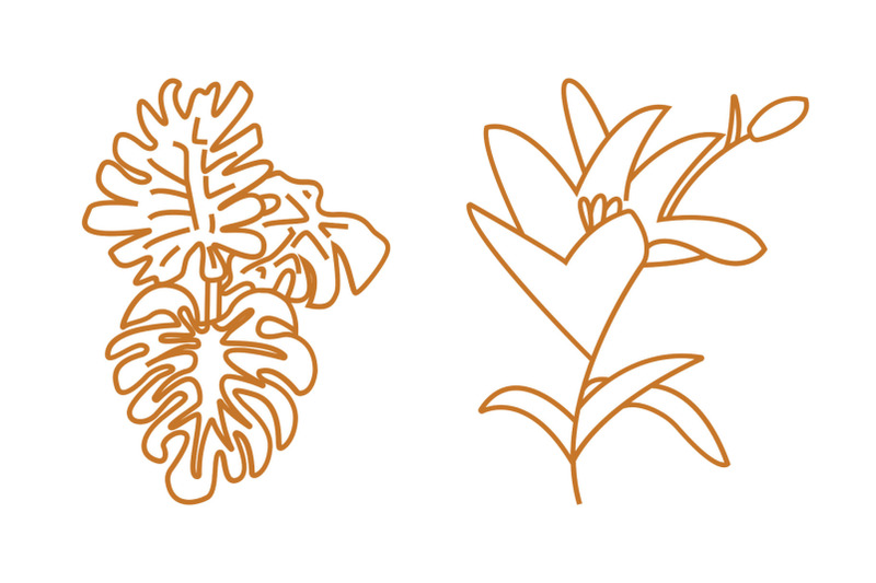 line-floral-illustration