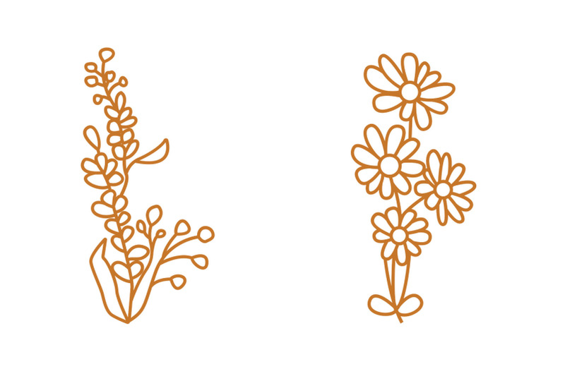 line-floral-illustration
