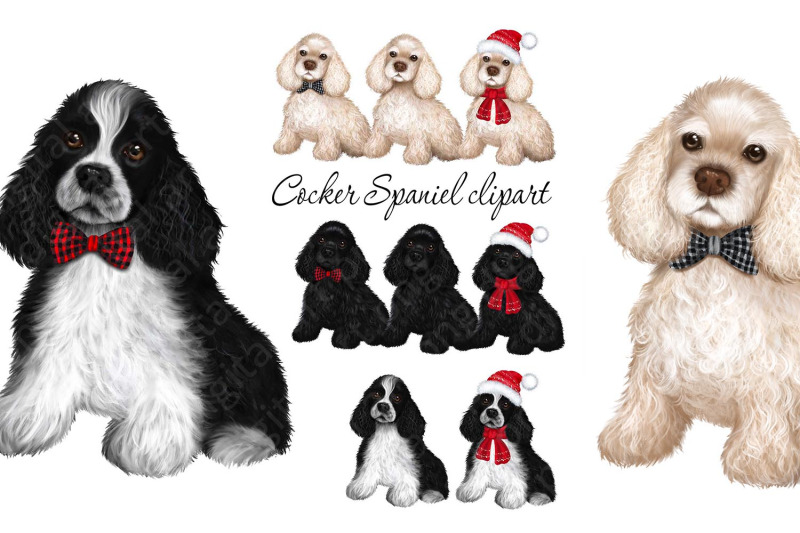 cocker-spaniel-png-clipart-dogs-png-clipart-spaniels