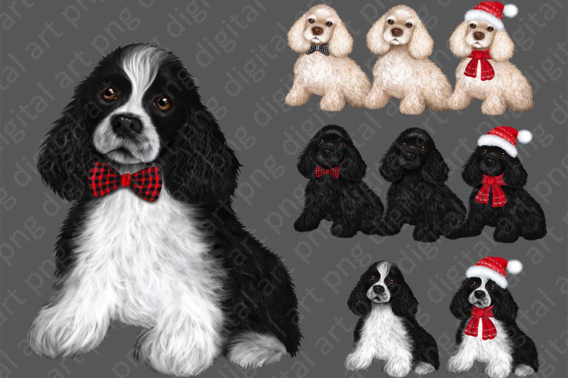 cocker-spaniel-png-clipart-dogs-png-clipart-spaniels