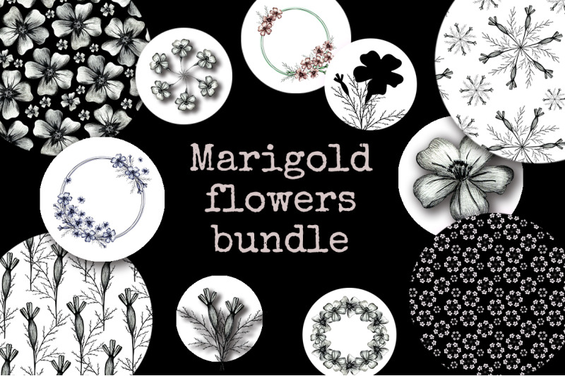 hand-drawn-marigold-flower-big-bundle