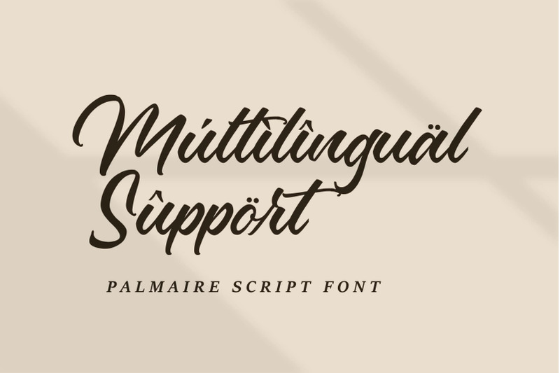 palmaire-script-font-nbsp