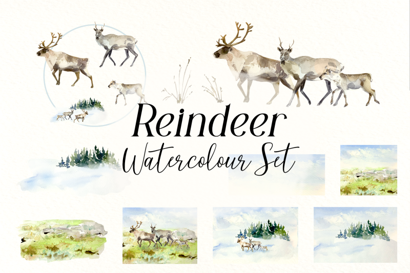 watercolor-reindeer-life-cycle-and-clip-arts