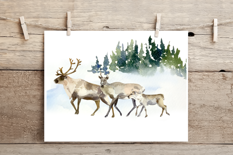 watercolor-reindeer-life-cycle-and-clip-arts
