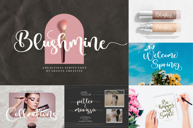 modern-collections-font-bundle