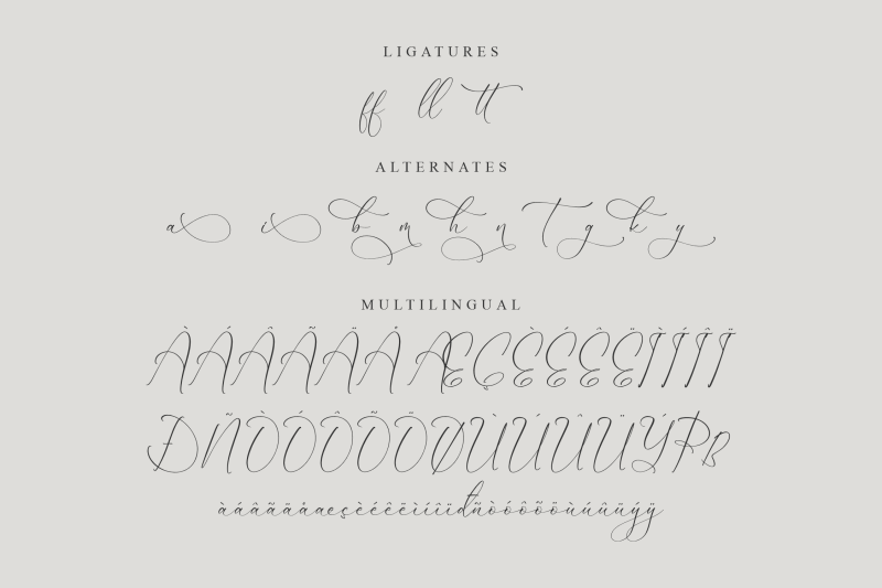 dilanda-merlinmota-beautiful-script-font