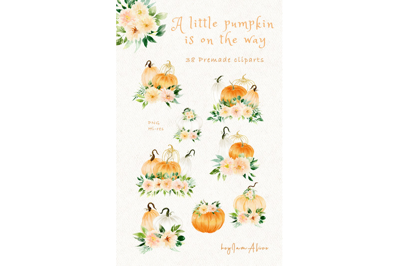 a-little-pumpkin-is-on-the-way-composition-set