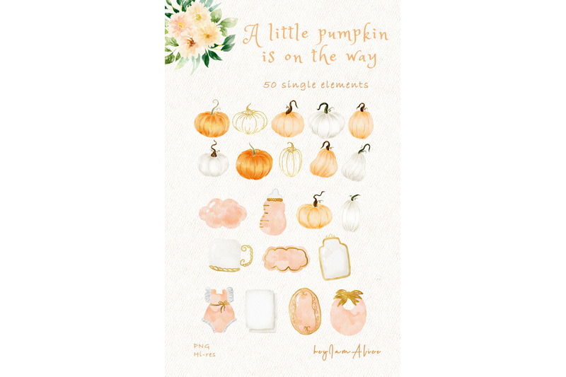 a-little-pumpkin-is-on-the-way-element-set