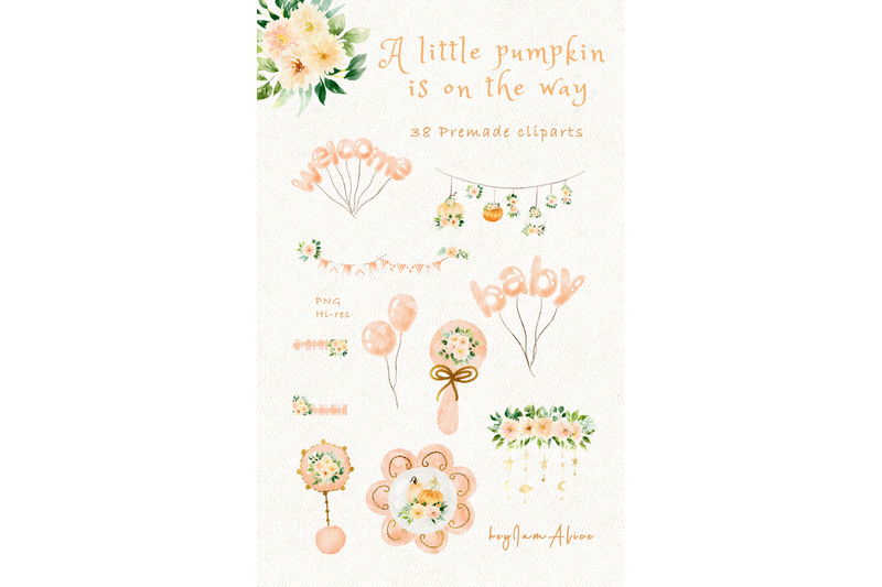 a-little-pumpkin-is-on-the-way-full-set