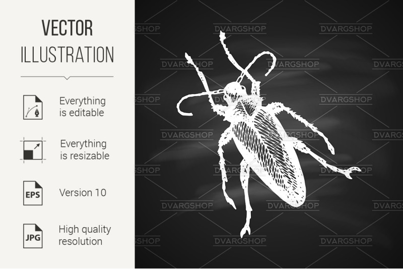 longhorn-beetle-icon