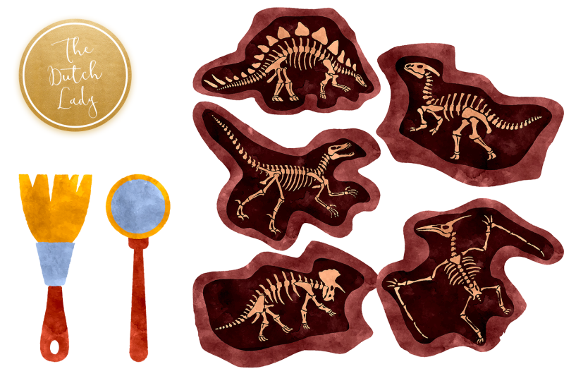 dinosaur-archeology-clipart-set