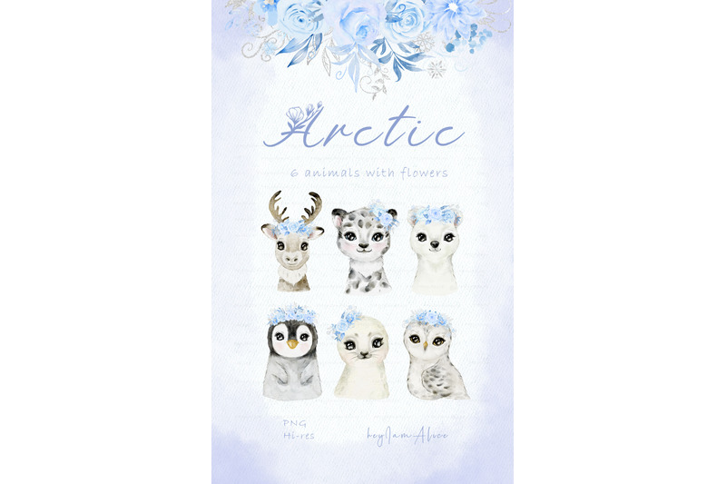 arctic-baby-animal