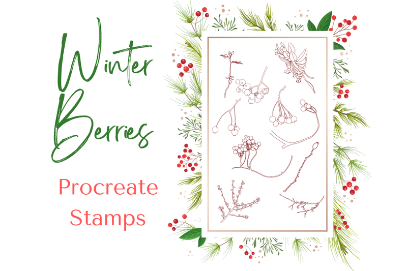 procreate-winter-berries-stamps-x-10
