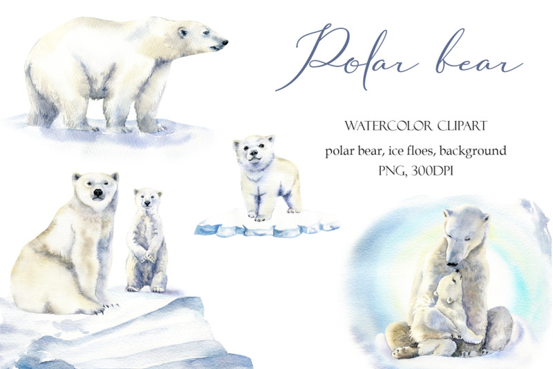 watercolor-polar-bear-clipart-winter-cute-animals-set-mama-bear-dad