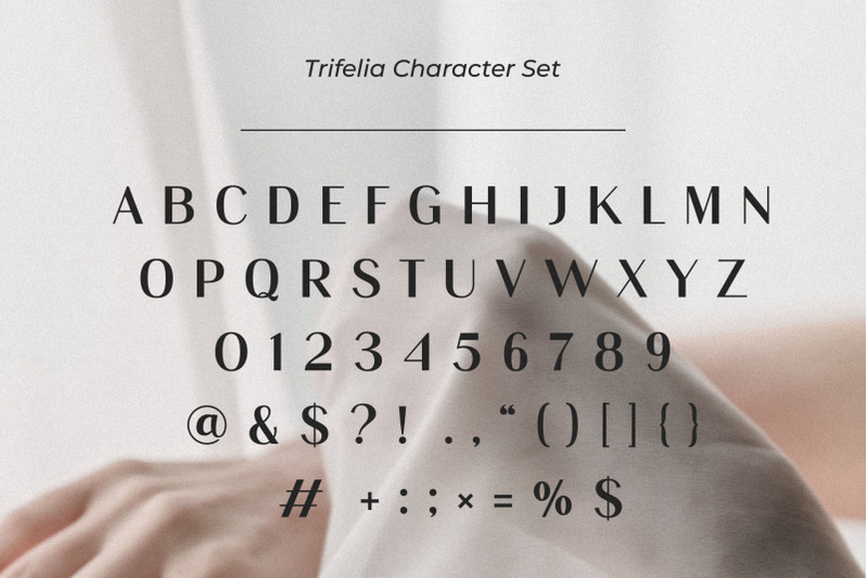 trifelia-elegant-sans-serif