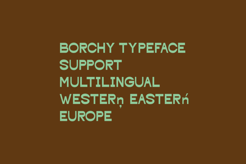borchy-reverse-contrast-display-sans-font