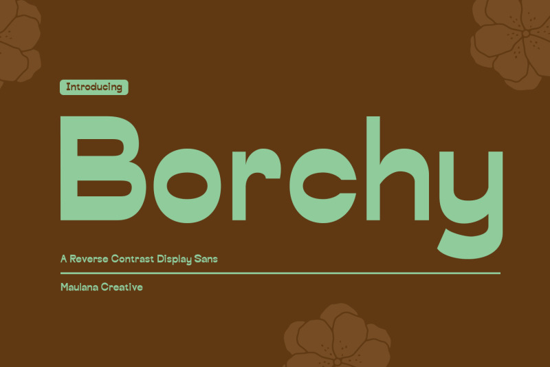 borchy-reverse-contrast-display-sans-font