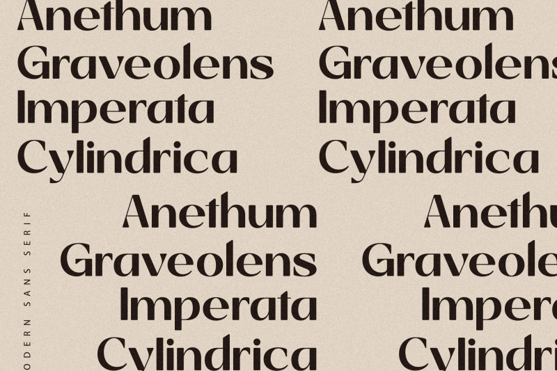 giahfita-typeface