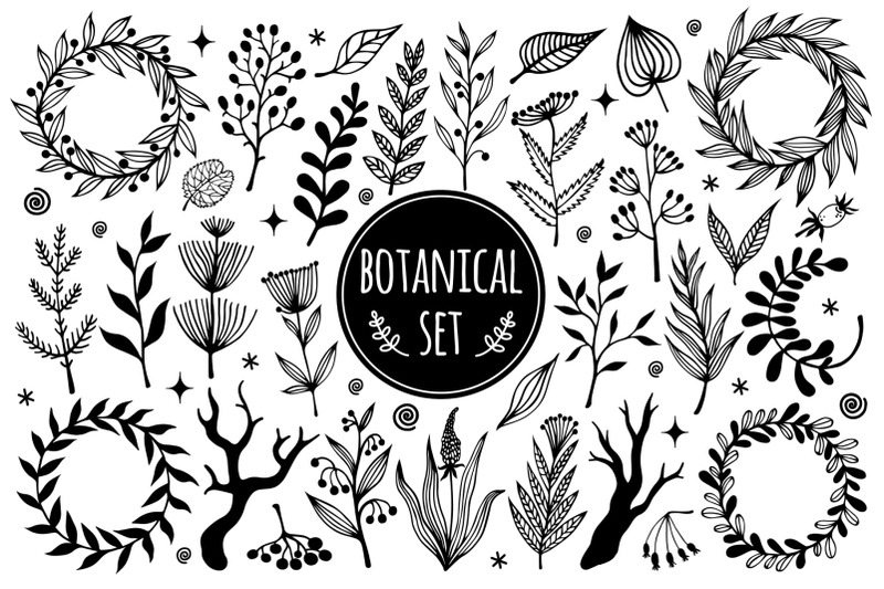 vector-set-of-field-herb-wildflower-hand-drawn-doodle