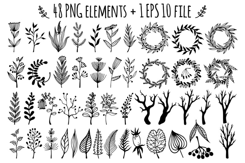 vector-set-of-field-herb-wildflower-hand-drawn-doodle