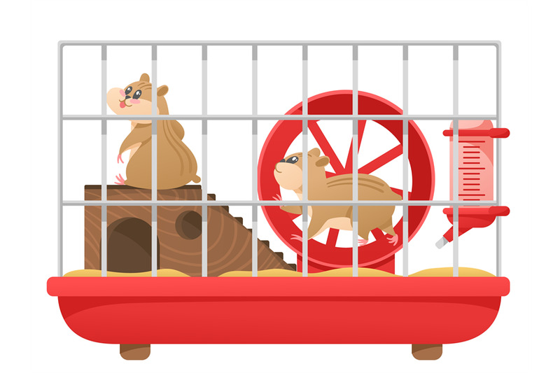 cartoon-hamster-cage-cute-pet-runs-in-wheel-pair-of-small-happy-hams