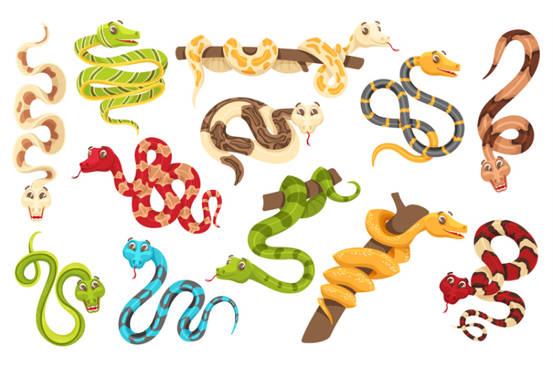 cartoon-snakes-in-various-poses-anaconda-mascot-cute-snake-and-funny