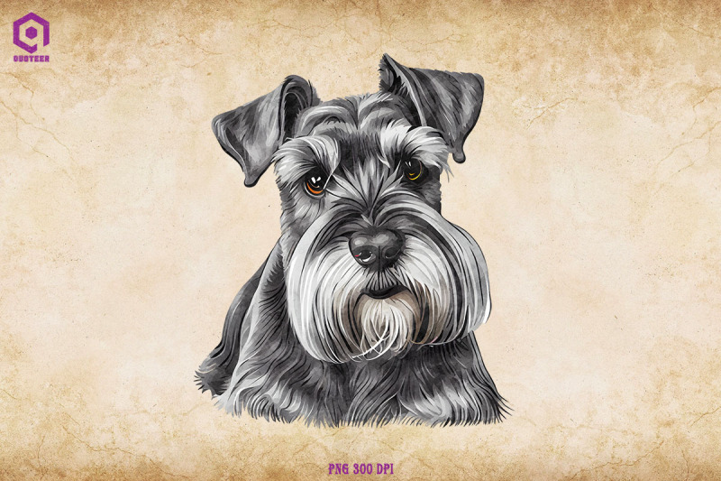 schnauzer-dog-portrait-clipart