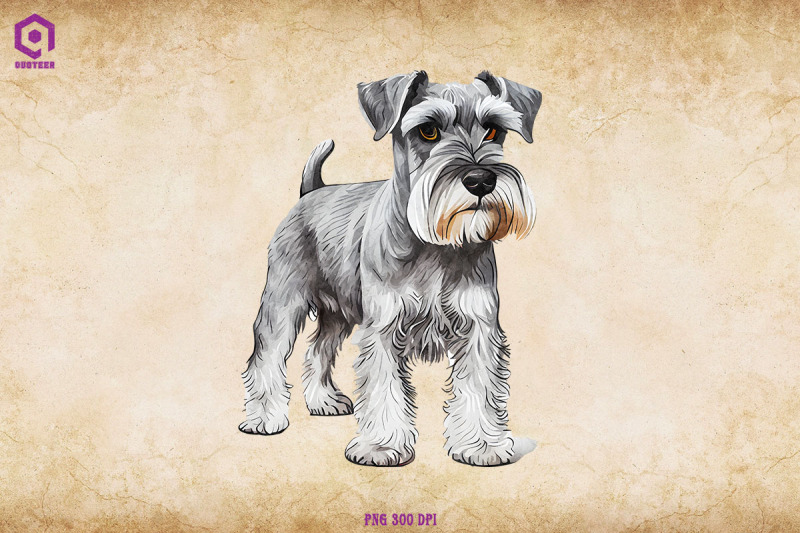 schnauzer-dog-standing