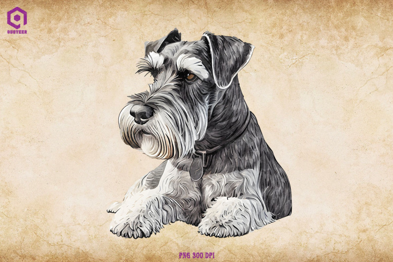 schnauzer-dog-lying