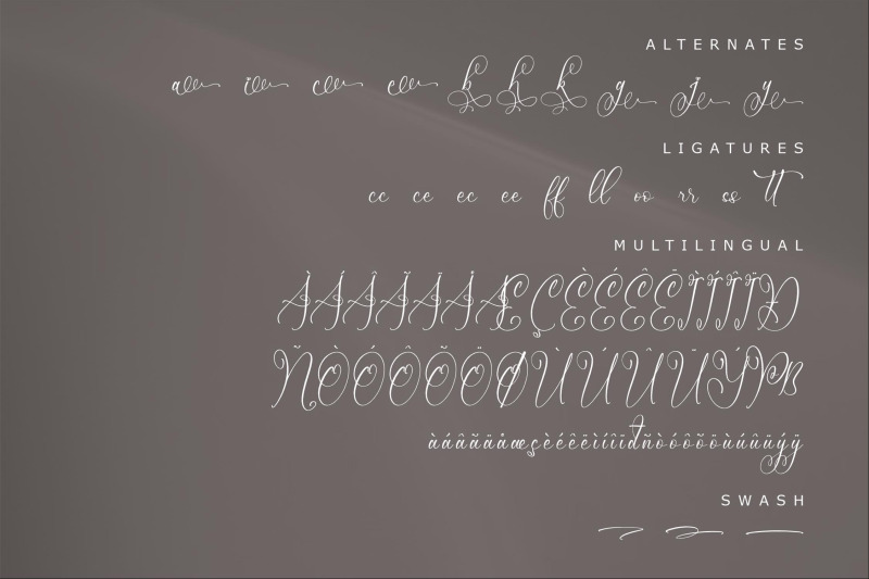 mendikari-chic-calligraphy-font