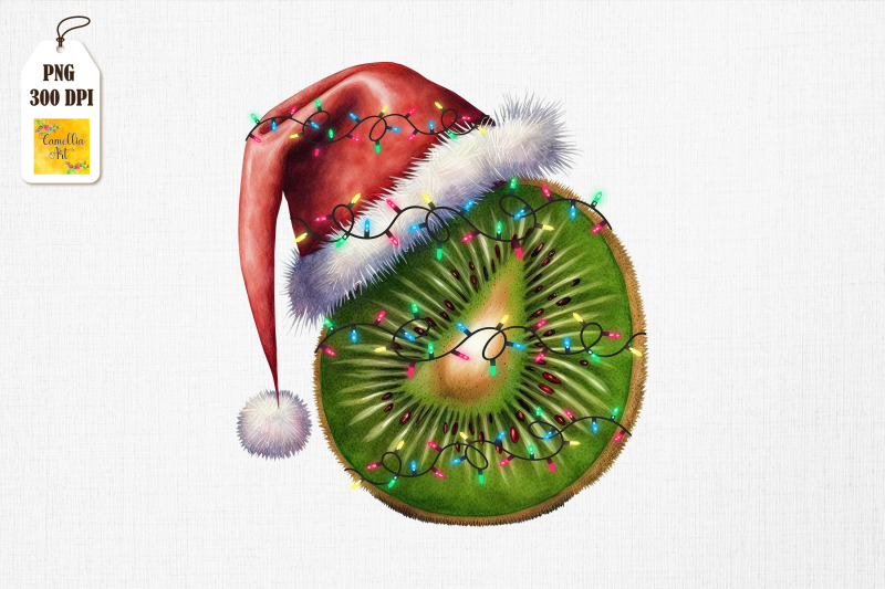 watercolor-christmas-kiwi-santa-hat