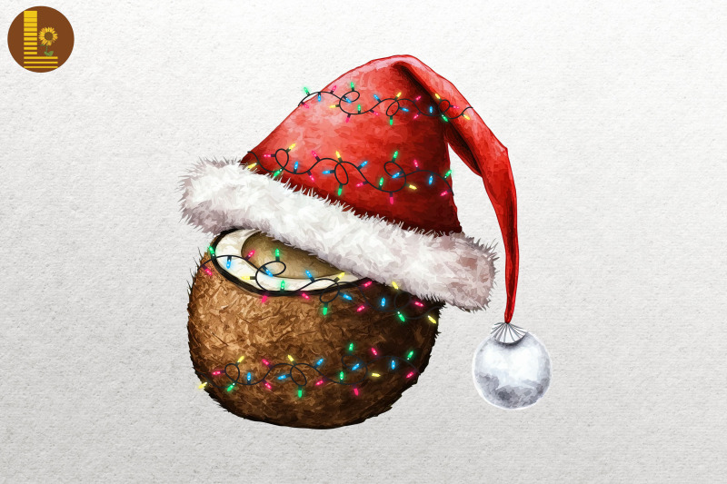 christmas-coconut-for-fruit-lovers