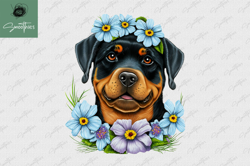 puppy-with-flower-rottweiler-dog