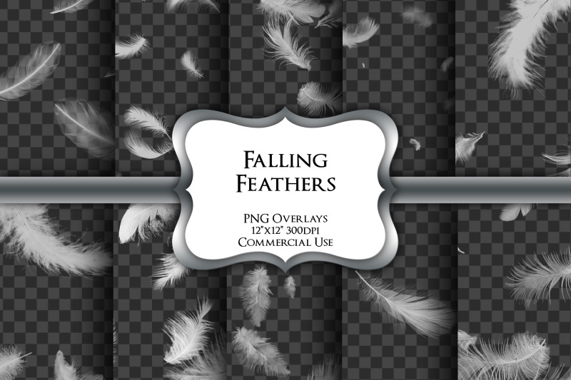 falling-feather-overlays-transparent-png