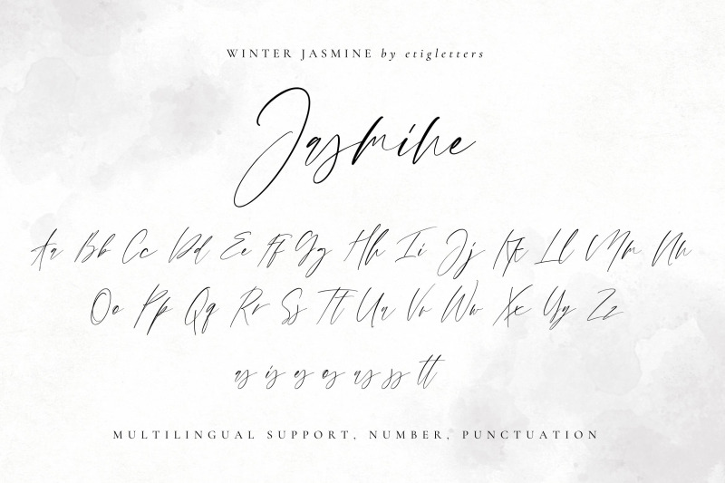 winter-jasmine-modern-script