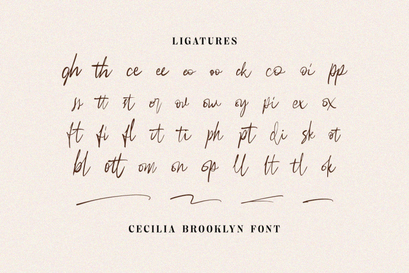 cecilia-brooklyn-handdrawn-script