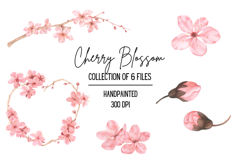watercolor-cherry-blossom-clipart