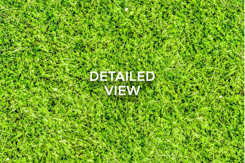 20-seamless-grass-texture-pack