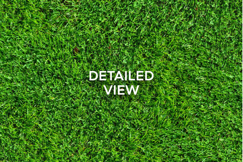 20-seamless-grass-texture-pack