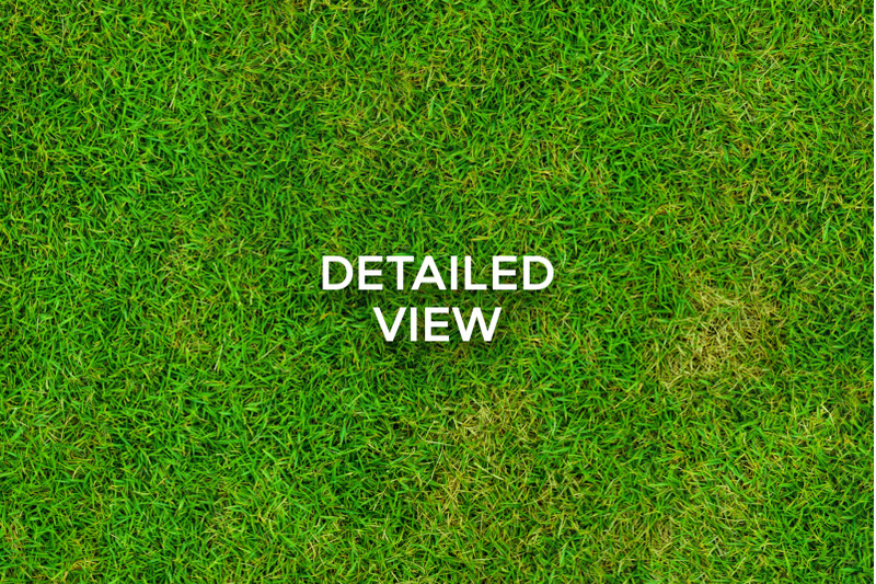 20-seamless-grass-texture-pack