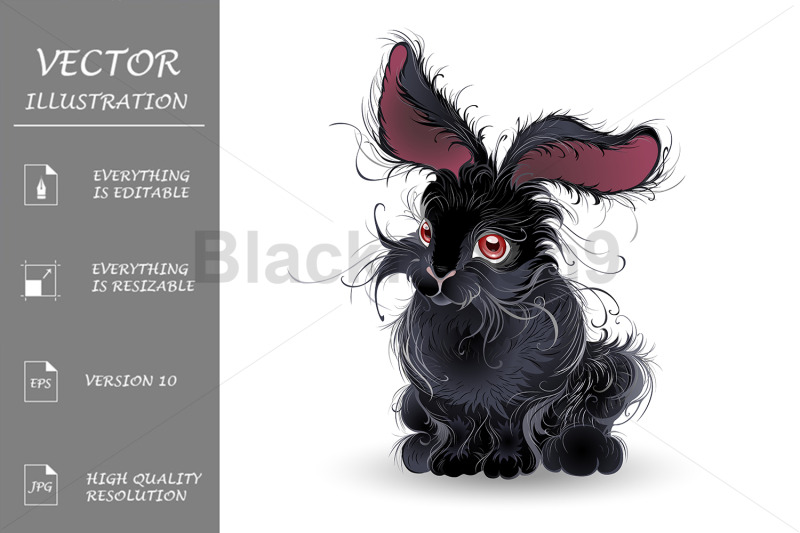 black-rabbit