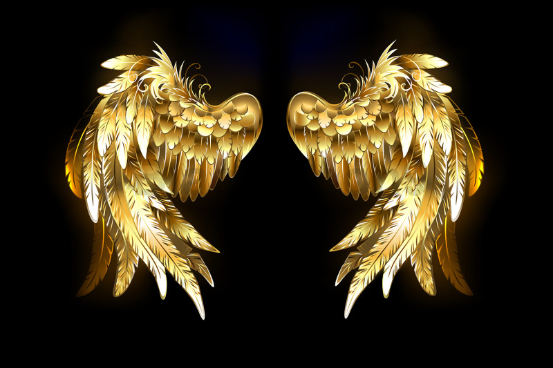 jewelry-wings