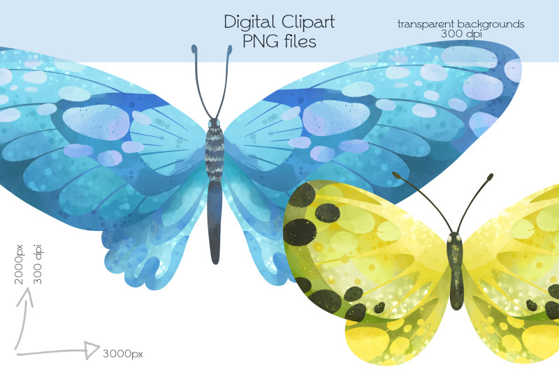 butterflies-clipart-png-files