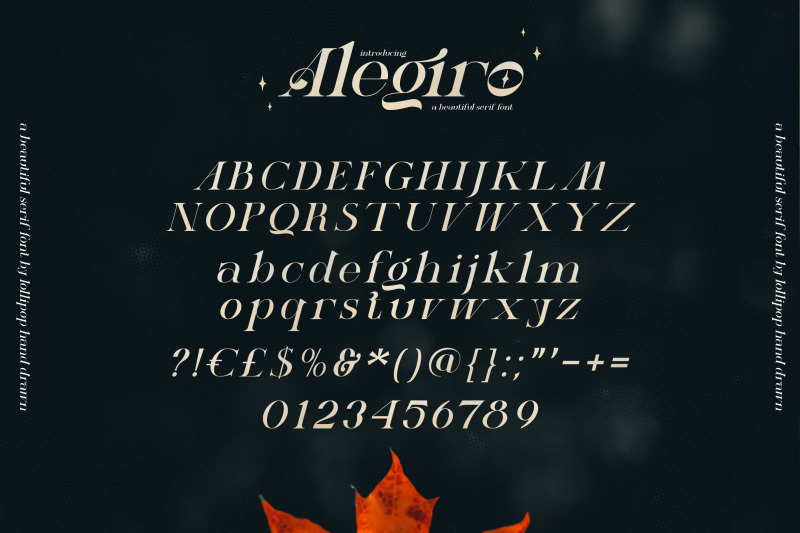 alegiro-serif-font-serif-fonts-classic-fonts-modern-fonts