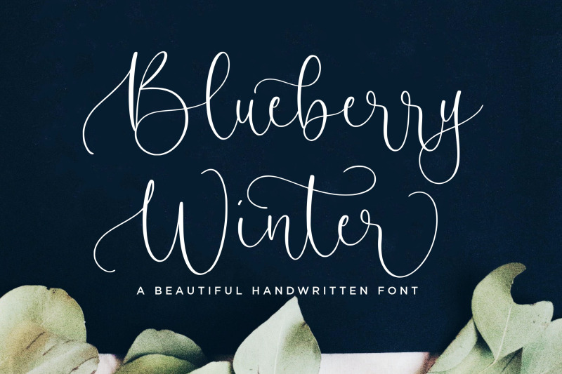 blueberry-winter-beautiful-handwritten-font