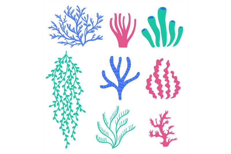 sea-corals-and-seaweeds-underwater-colorful-plants-undersea-floral-w