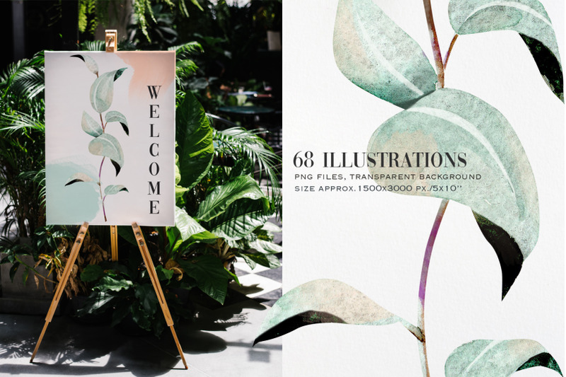 watercolor-eucalyptus-and-greenery-clipart