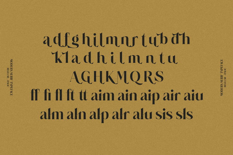 salgesis-typeface