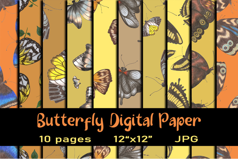 10-hand-drawn-butterfly-seamless-patterns