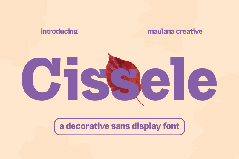 cissele-display-font